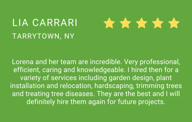 Testimonial Lia Carrari - Tarrytown, NY
