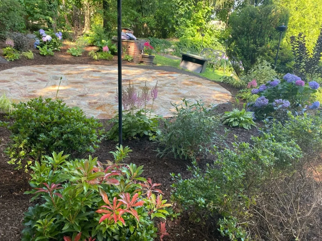 rain garden
