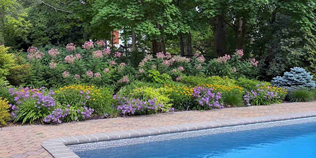 Low-Maintenance Garden